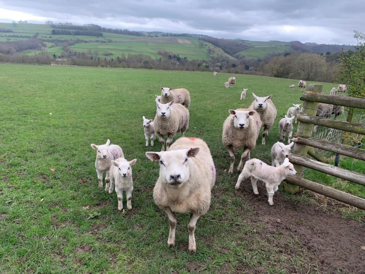 Apartmán Counting Sheep Great Longstone Exteriér fotografie